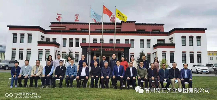皇家庆幸-主页