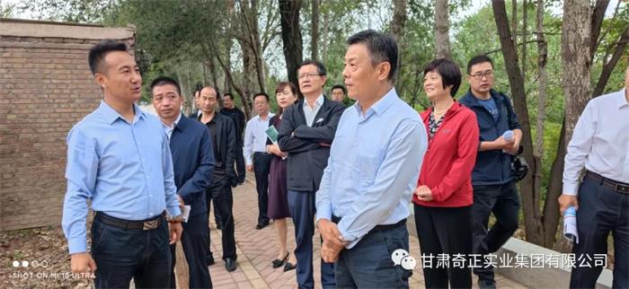 皇家庆幸-主页