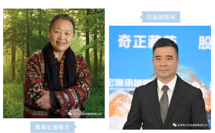 皇家庆幸-主页
