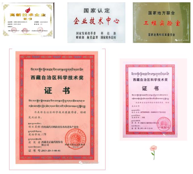 皇家庆幸-主页