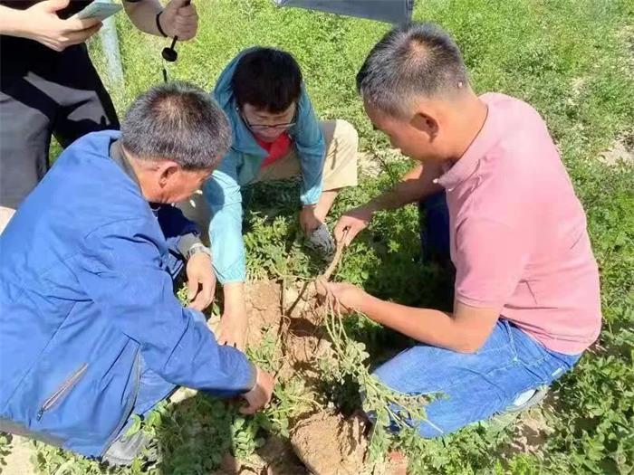 皇家庆幸-主页