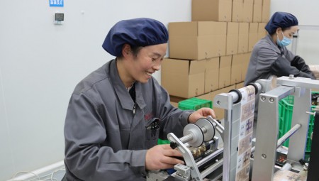 陇西皇家荣耀官网