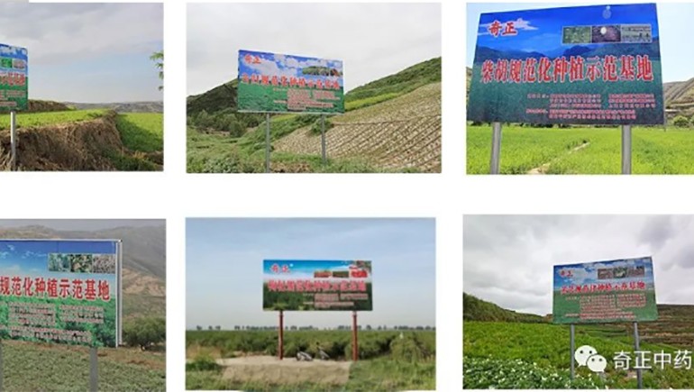 陇西皇家荣耀官网药材有限责任公司入选第一批国度中药材尺度化与质量评估创新联盟GAP沉点造就单元