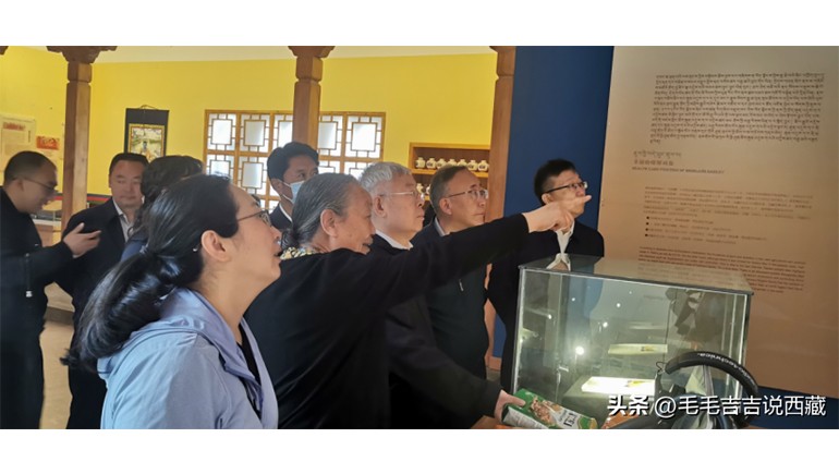 原国务院扶贫办主任刘永富一行莅临皇家荣耀官网青稞调查调研